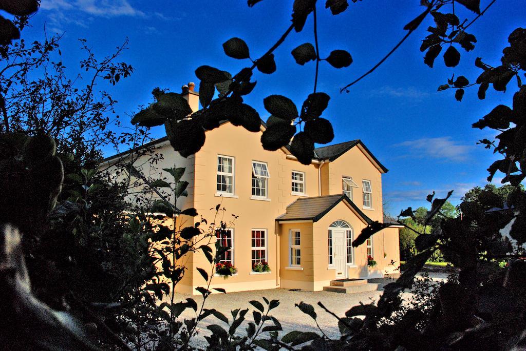 Lemongrove House Acomodação com café da manhã Enniscorthy Exterior foto